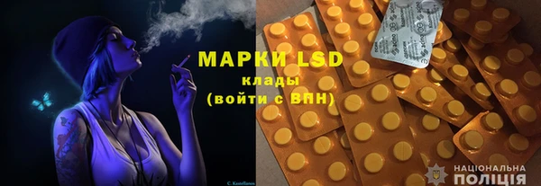 ECSTASY Алзамай