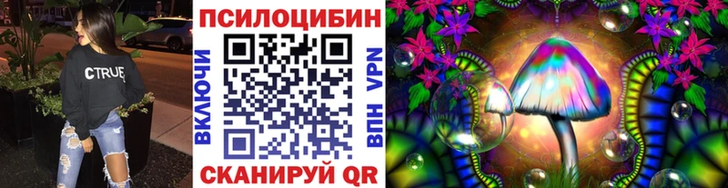 купить наркотики сайты  Фёдоровский  Псилоцибиновые грибы Psilocybe 